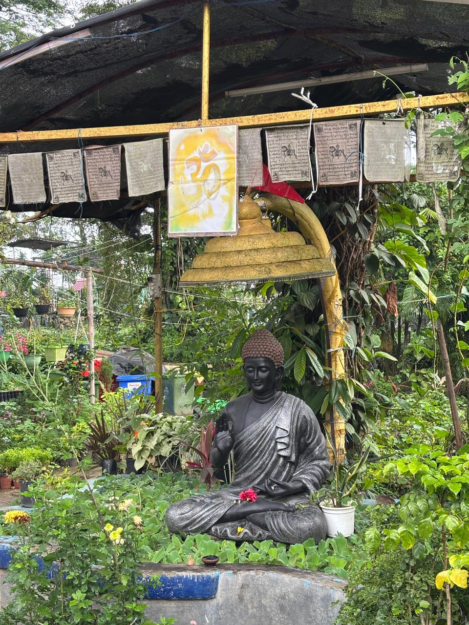 Buddha statue surrounded by plants at Blossom Exotica