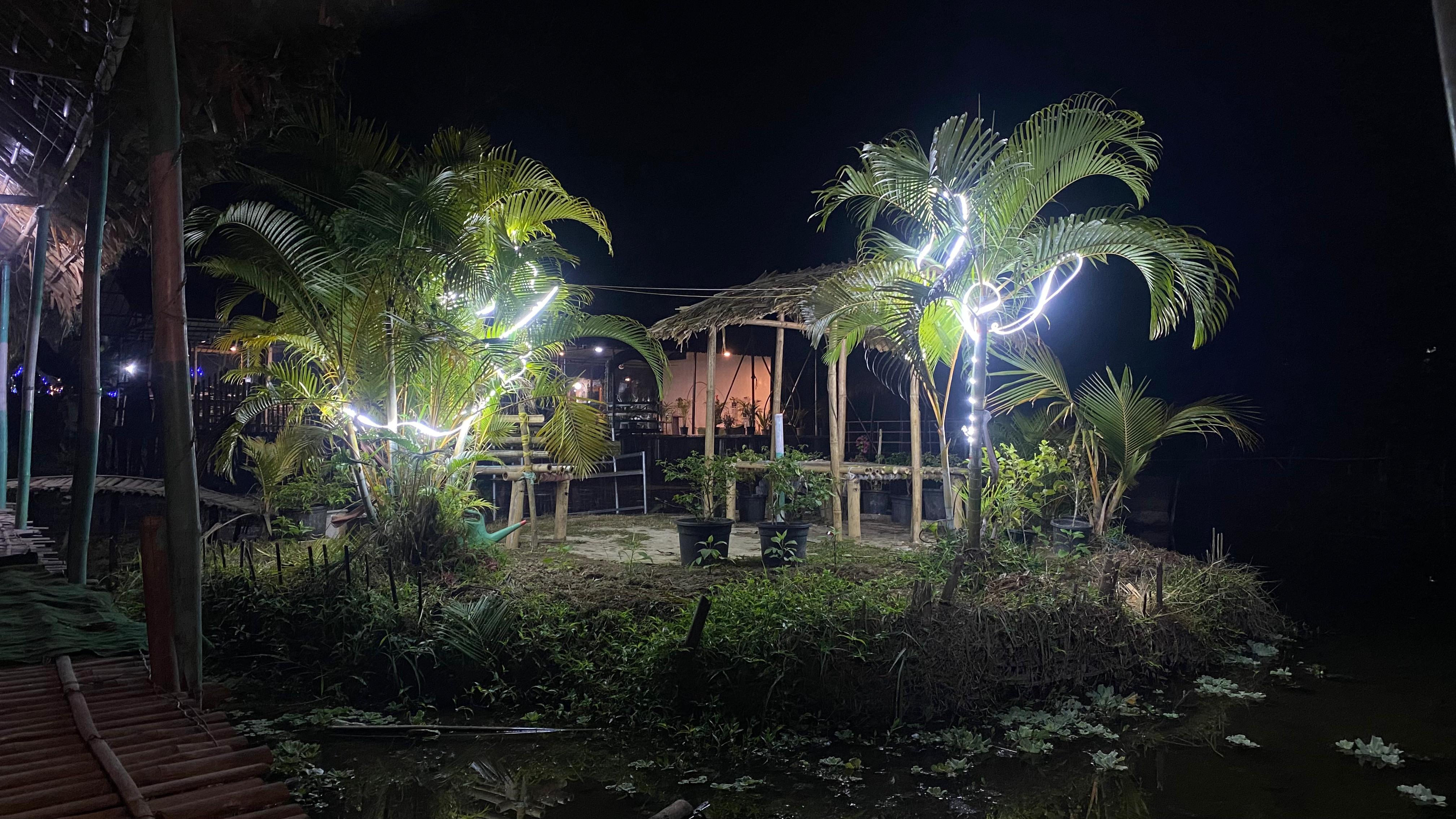 Palms and garden lights reflected in the water at night