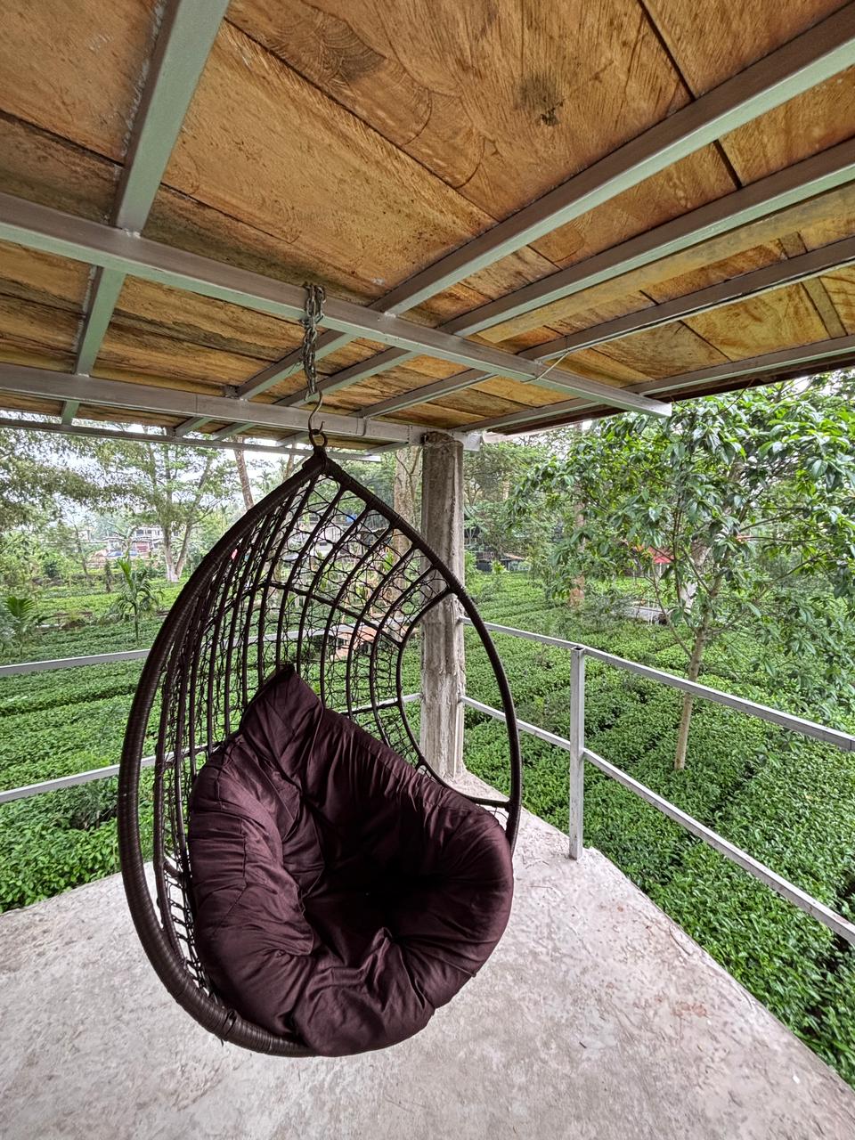 Hanging chair overlooking the tea garden